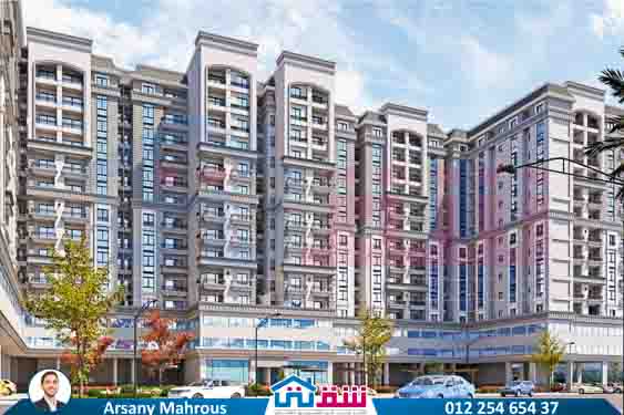 WhatsApp Image 2025-08-06 at 11.56.37 AM