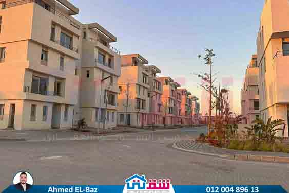 WhatsApp Image 2025-08-07 at 3.32.05 PM (1)