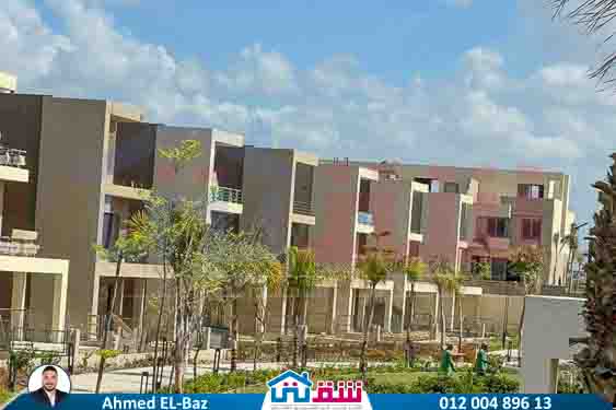 WhatsApp Image 2025-08-07 at 3.32.06 PM (1)