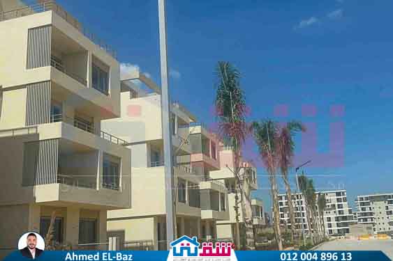 WhatsApp Image 2025-08-07 at 3.32.06 PM (2)