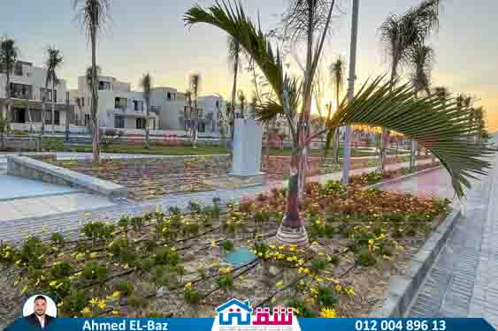 WhatsApp Image 2025-08-07 at 3.32.06 PM (3)