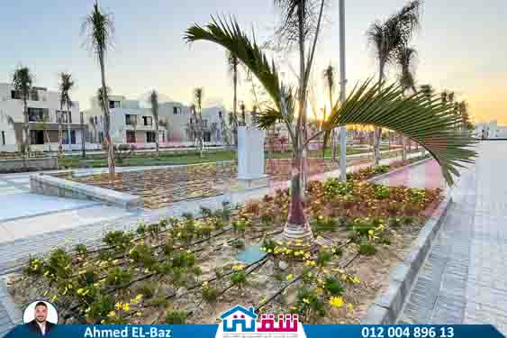 WhatsApp Image 2025-08-07 at 4.01.57 PM (1)