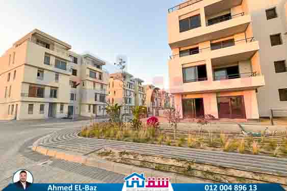 WhatsApp Image 2025-08-07 at 4.01.57 PM