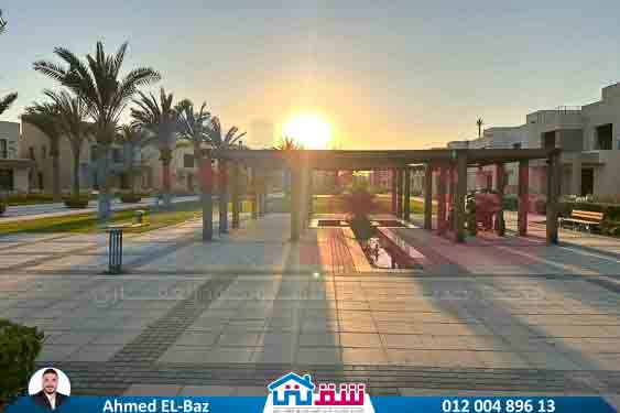 WhatsApp Image 2025-08-07 at 4.01.58 PM (2)