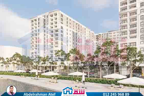 WhatsApp Image 2025-08-09 at 4.36.13 PM