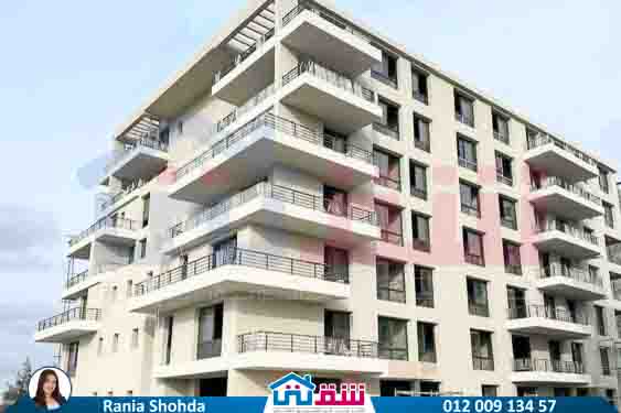 WhatsApp Image 2025-08-09 at 8.34.07 PM (1)