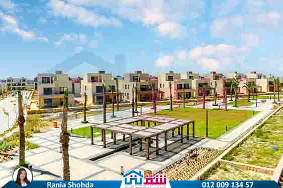 WhatsApp Image 2025-08-09 at 8.34.07 PM