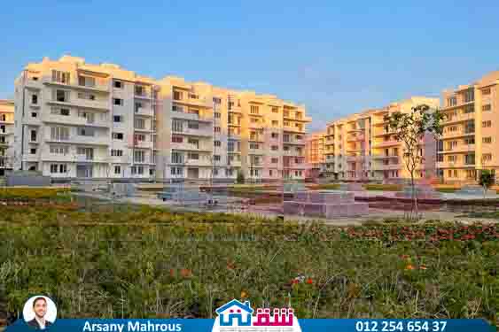 WhatsApp Image 2025-08-10 at 1.27.02 PM (1)