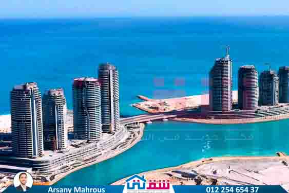 WhatsApp Image 2025-08-10 at 1.27.02 PM