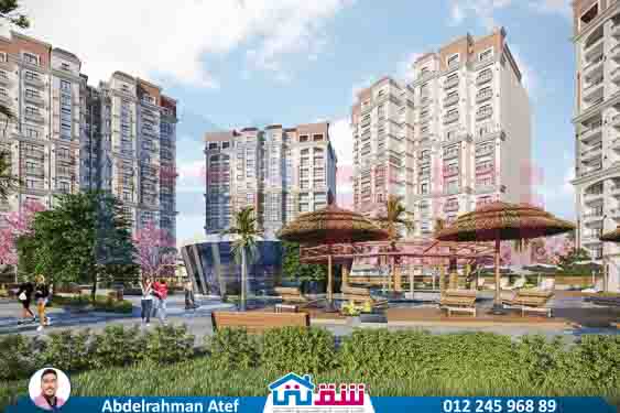 WhatsApp Image 2025-08-10 at 5.03.53 PM (1)