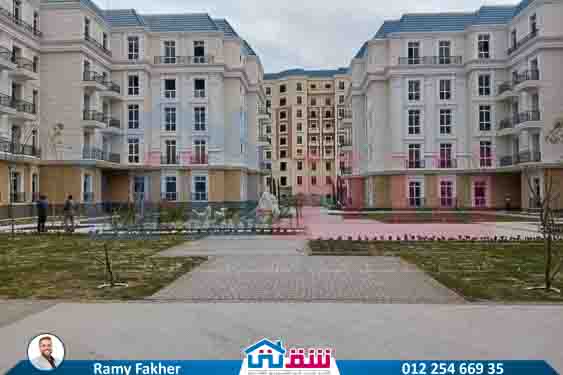 WhatsApp Image 2025-08-11 at 3.47.28 PM