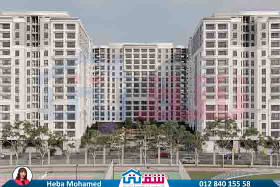 WhatsApp Image 2025-08-12 at 2.42.40 AM (2)