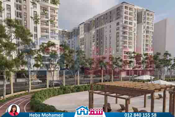 WhatsApp Image 2025-08-12 at 2.42.40 AM