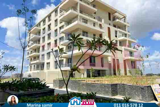 WhatsApp Image 2025-08-12 at 4.12.15 PM