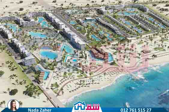 WhatsApp Image 2025-08-13 at 1.31.50 PM