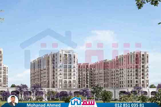 WhatsApp Image 2025-08-13 at 2.31.46 PM (1)