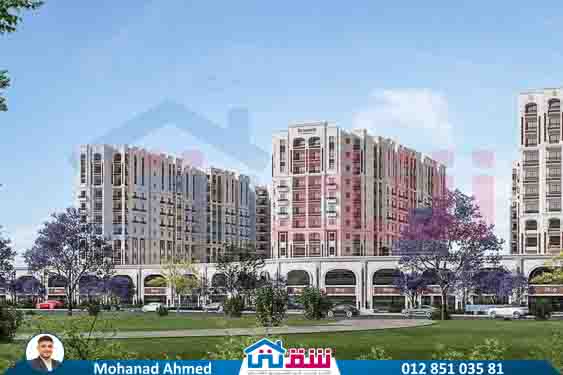 WhatsApp Image 2025-08-13 at 2.31.46 PM