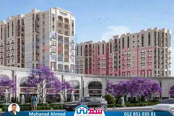 WhatsApp Image 2025-08-13 at 2.31.47 PM (2)