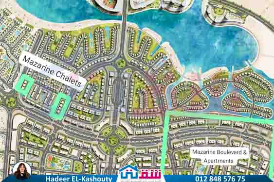 WhatsApp Image 2025-08-14 at 16.33.47_6672be18