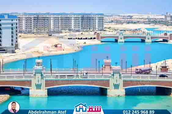 WhatsApp Image 2025-08-14 at 4.28.28 PM