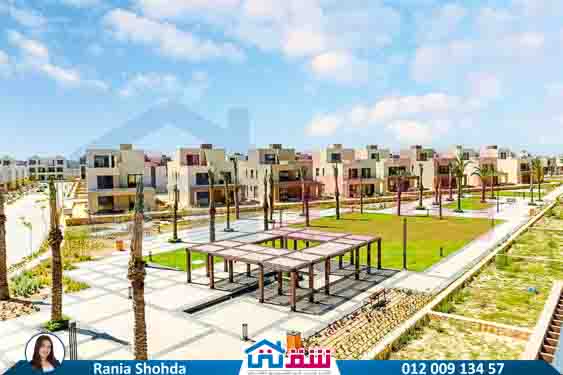 WhatsApp Image 2025-08-16 at 8.45.41 PM