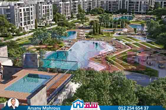 WhatsApp Image 2025-08-17 at 1.18.50 PM