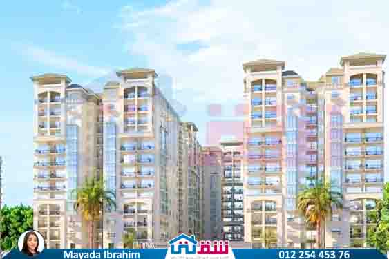 WhatsApp Image 2025-08-17 at 1.23.33 PM