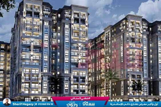 WhatsApp Image 2025-08-17 at 3.05.48 PM (1)