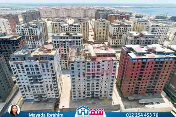 WhatsApp Image 2025-08-17 at 3.22.03 PM