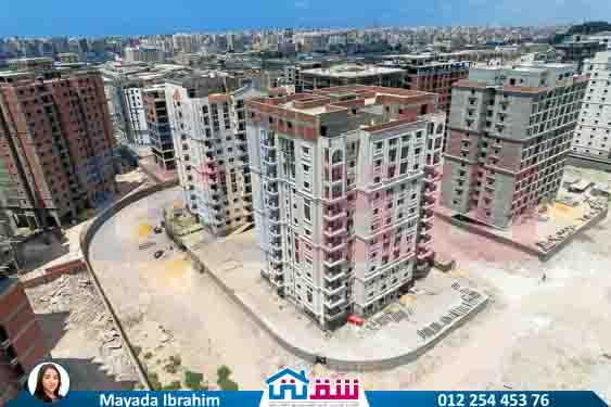 WhatsApp Image 2025-08-17 at 3.22.04 PM (1)