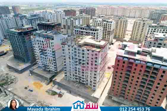 WhatsApp Image 2025-08-17 at 3.22.04 PM