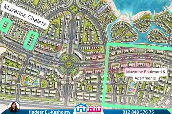 WhatsApp Image 2025-08-18 at 16.11.07_13272c7f