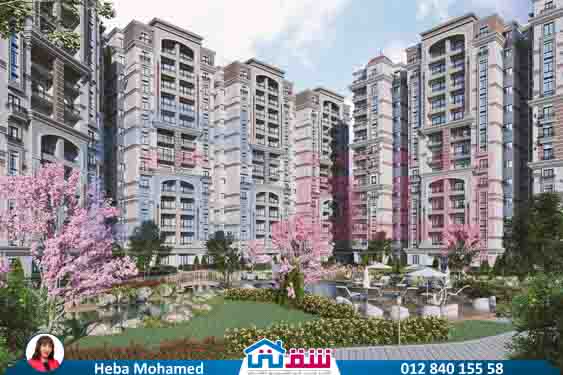 WhatsApp Image 2025-08-18 at 4.23.33 PM