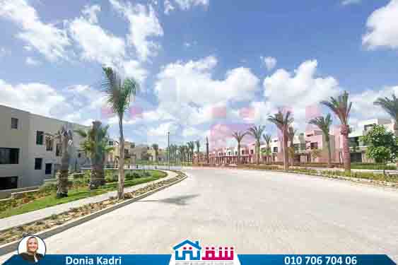 WhatsApp Image 2025-08-19 at 17.41.22_47b0be64