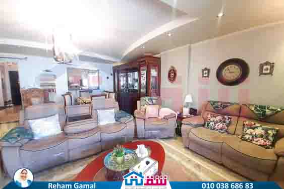 WhatsApp Image 2025-08-19 at 2.26.46 PM