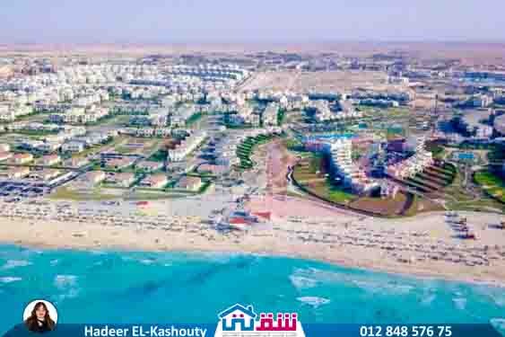 WhatsApp Image 2025-08-19 at 3.55.02 PM (3)