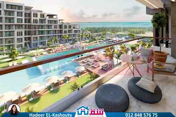 WhatsApp Image 2025-08-19 at 3.55.02 PM (4)