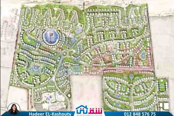 WhatsApp Image 2025-08-19 at 3.55.04 PM (1)