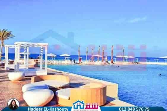 WhatsApp Image 2025-08-19 at 3.55.04 PM (2)