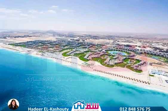 WhatsApp Image 2025-08-19 at 3.55.04 PM