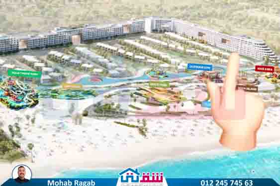 WhatsApp Image 2025-08-19 at 5.16.14 PM (3)