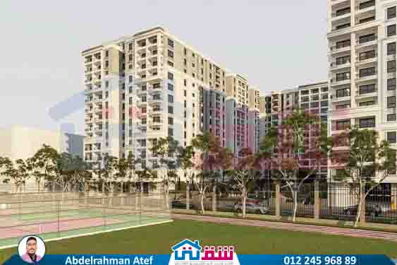 WhatsApp Image 2025-08-19 at 8.28.00 PM (1)