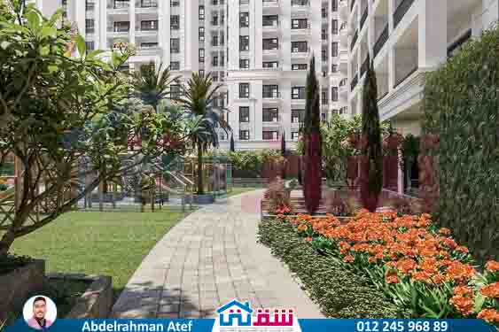 WhatsApp Image 2025-08-19 at 8.28.04 PM (1)