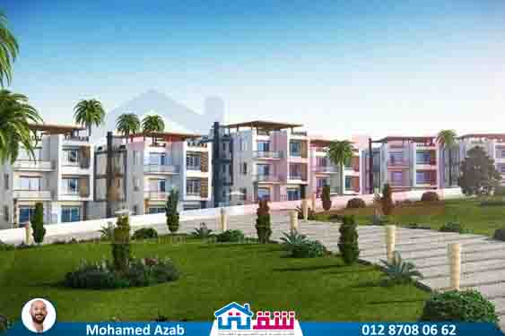 WhatsApp Image 2025-08-20 at 12.37.06 PM