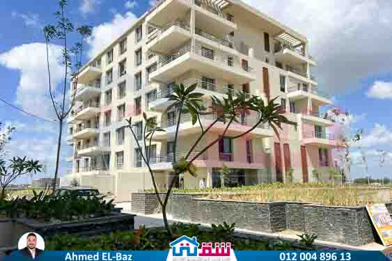 WhatsApp Image 2025-08-20 at 2.37.17 PM (1)