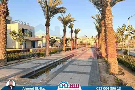 WhatsApp Image 2025-08-20 at 2.37.19 PM (1)