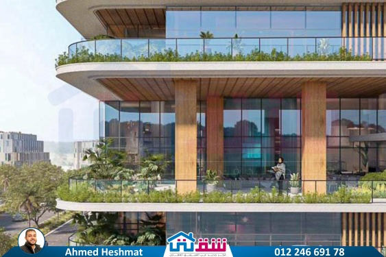 WhatsApp Image 2025-08-21 at 1.28.29 PM (4)