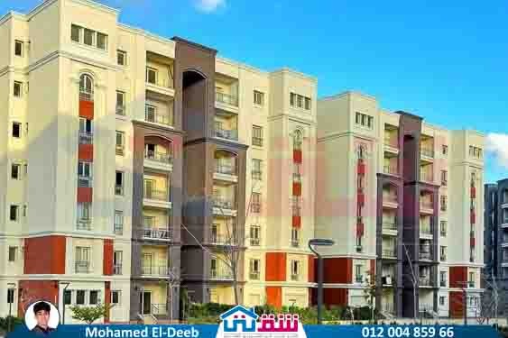 WhatsApp Image 2025-08-21 at 3.41.36 PM (4)