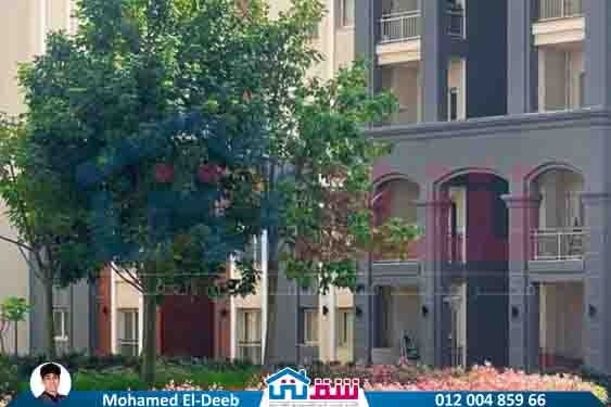 WhatsApp Image 2025-08-21 at 3.41.37 PM (1)