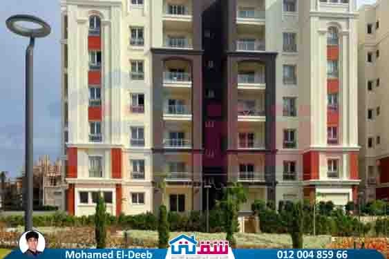 WhatsApp Image 2025-08-21 at 3.41.37 PM (2)